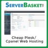cheap plesk cpanel web hosting