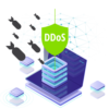ddos protected vps hosting