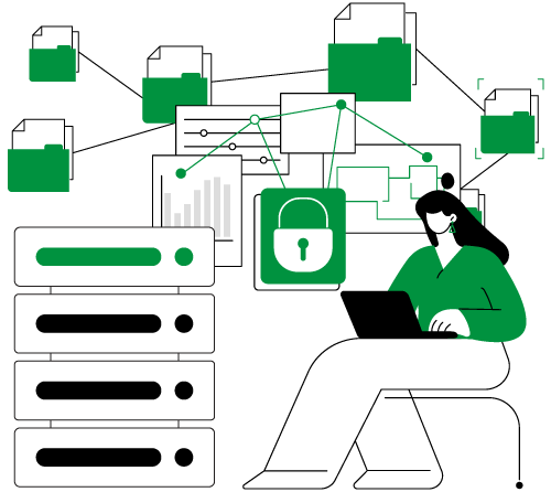 Flexible Storage options with Advanced RAID Protection